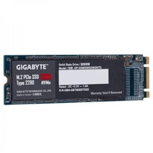 Gigabyte 256 GB NVME SSD